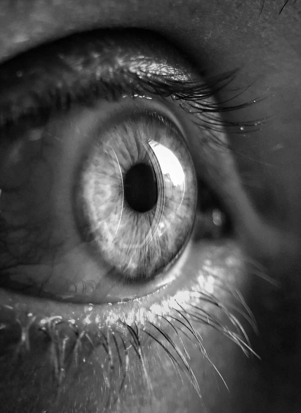 home hero Excellence & Development